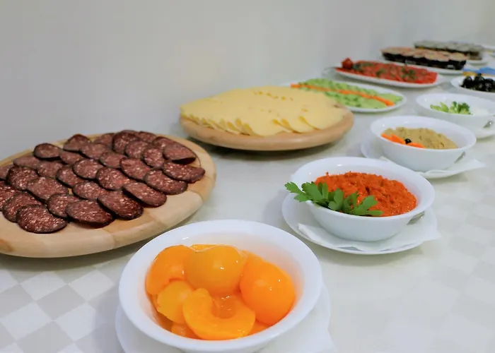 Old ホテル スコピエ